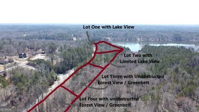 0 Panhandle Road, Unit LOT 3 Hampton, GA 30228 - Photo 7 of 40 Middle Lots opposite Subdivision entrance with Lo