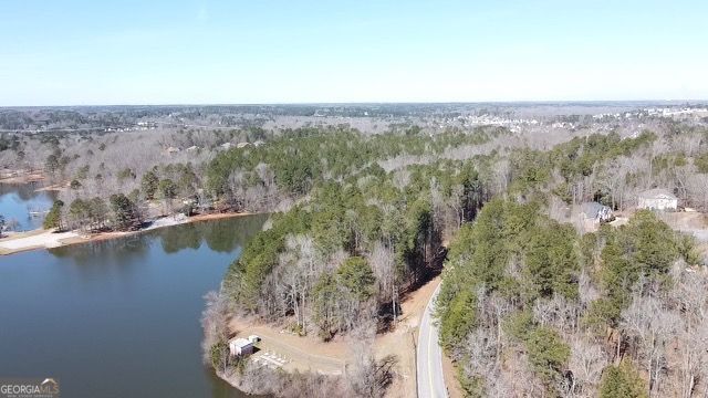 0 Panhandle Road, Unit LOT 3 Hampton, GA 30228 - Photo 9 of 40 an aerial view of a house with a yard and lake view