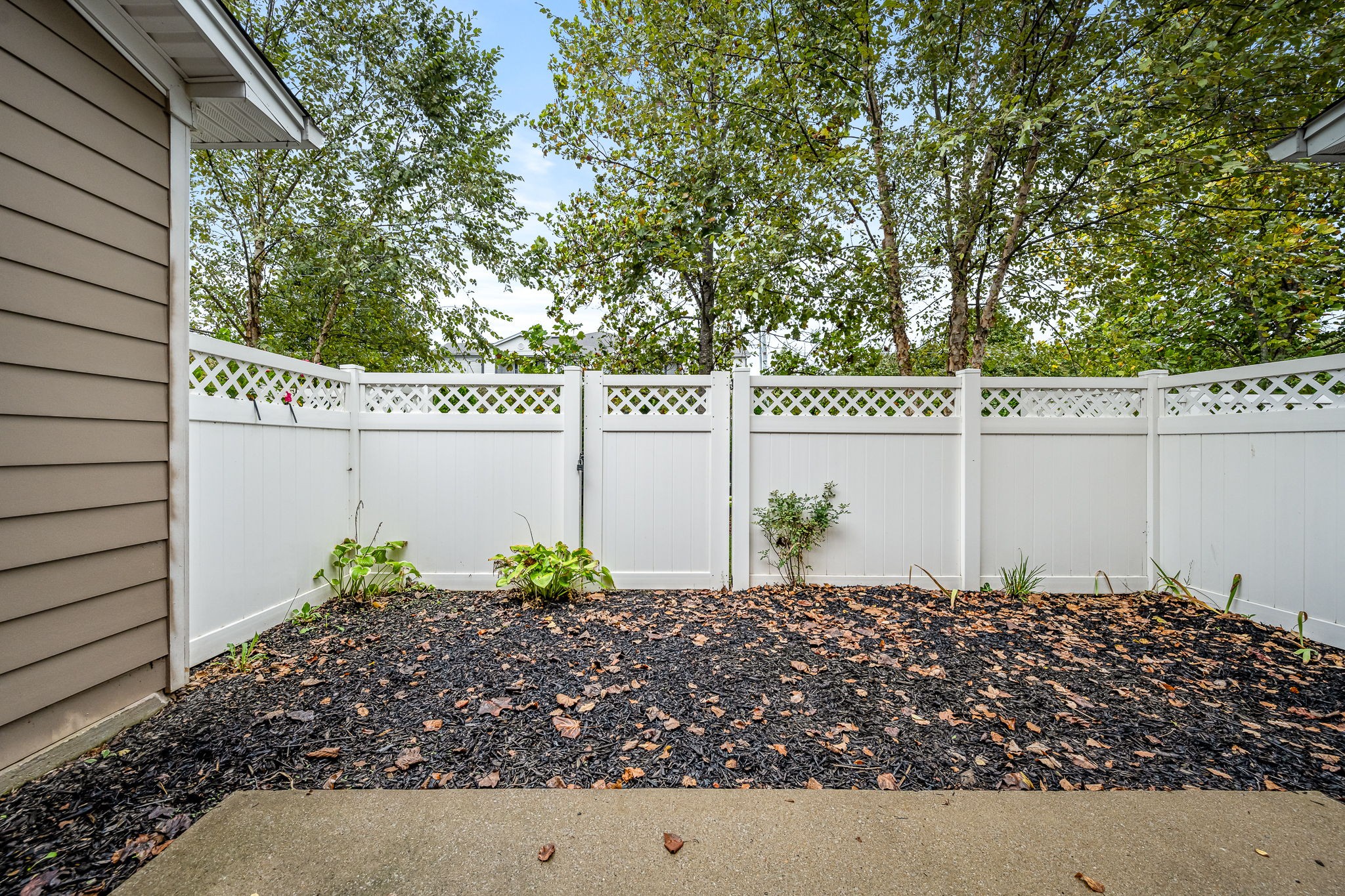 2342 North Tennessee Boulevard, Unit 1503 Murfreesboro, TN 37130 - Photo 36 of 36 a view of a garden