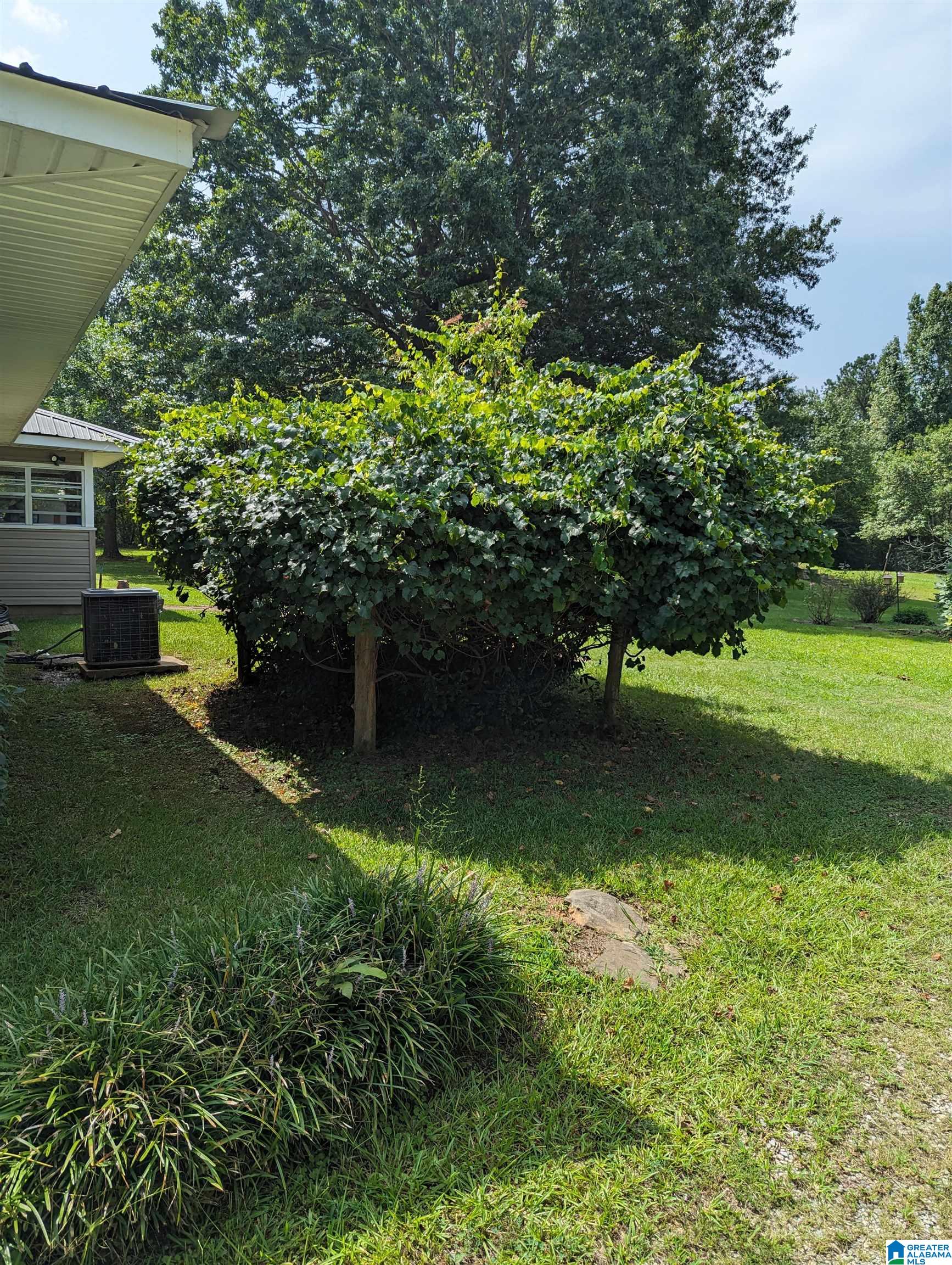9126 Lock 17 Road Adger, AL 35006 - Photo 36 of 43