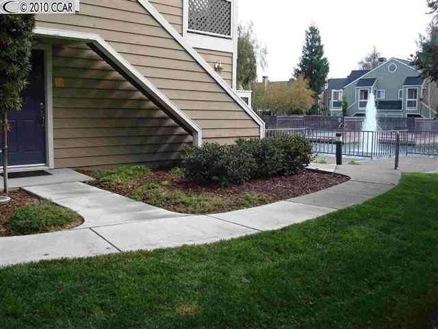 135 Reflections Drive, Unit 15 San Ramon, CA 94583 - Photo 1 of 1 a view of a back yard of the house