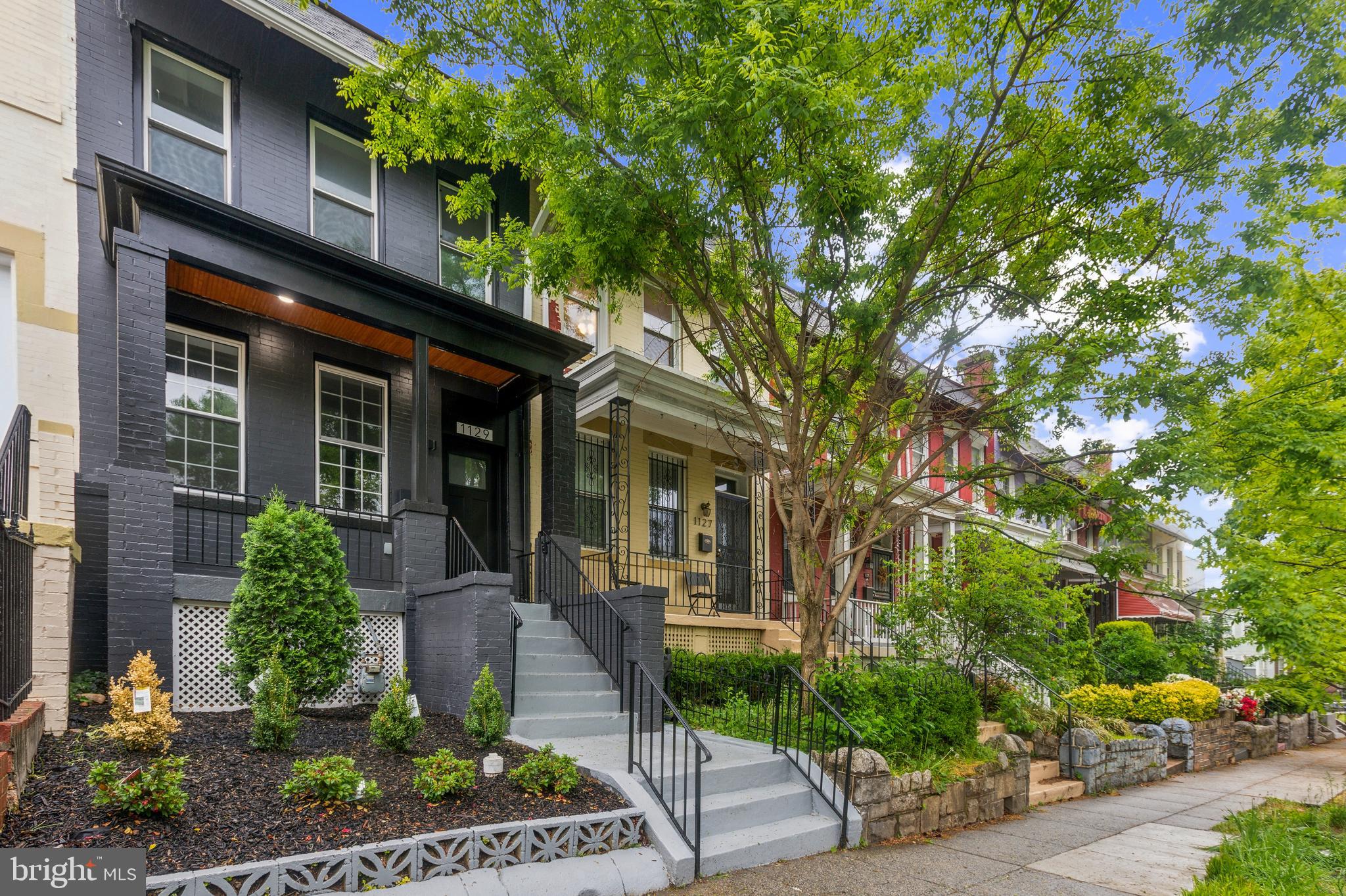 front view of a house with a tree