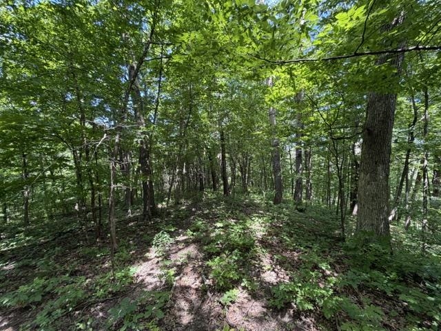 35537 Log House Lane Prairie du Chien, WI 53821 - Photo 30 of 36