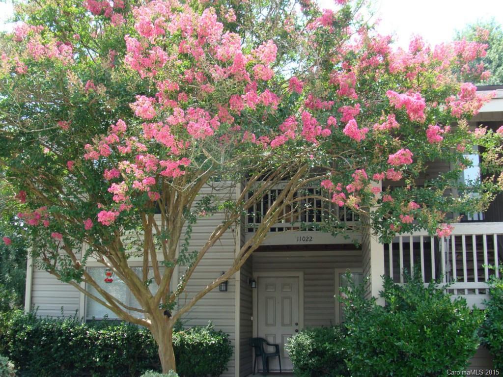 11030 Running Ridge Road, Unit 8435 Charlotte, NC 28226 - Photo 1 of 18 a front view of a house with a flower garden