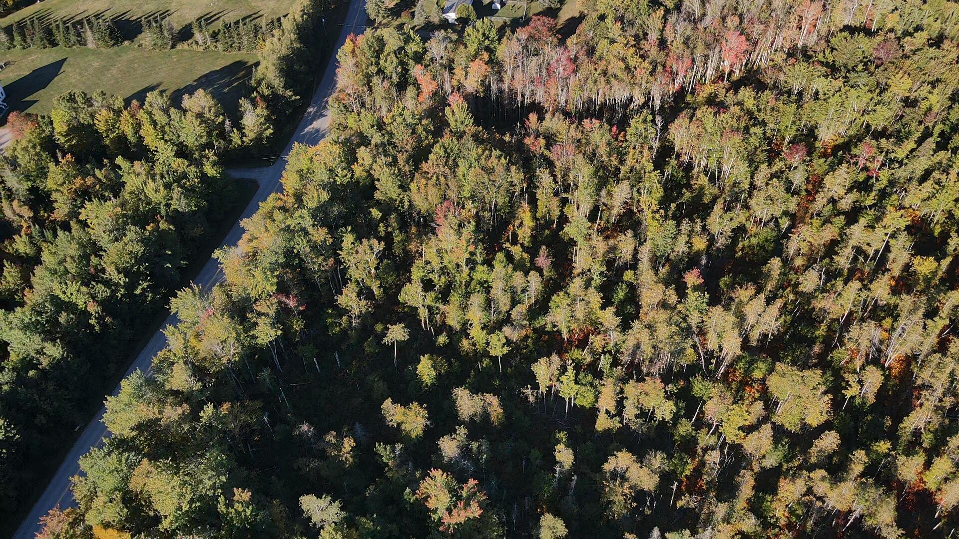 Lot 81 Fuller Road Hermon, ME 04401 - Photo 5 of 11 2025-09-20-08-01-16-811