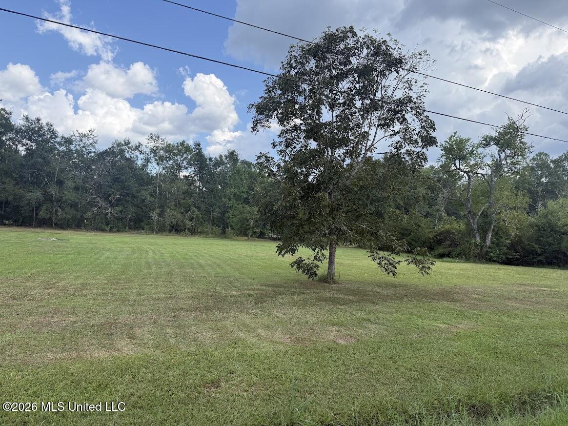 7256 Gustine Road Kiln, MS 39556 - Photo 2 of 16 Side yard