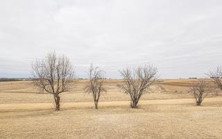 1021 Fish Lane Hazel Green, WI 53811 - Photo 30 of 105