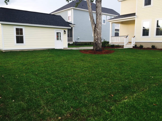 1483 Hollenberg Lane Mount Pleasant, SC 29466 - Photo 18 of 22 208 backyard 2