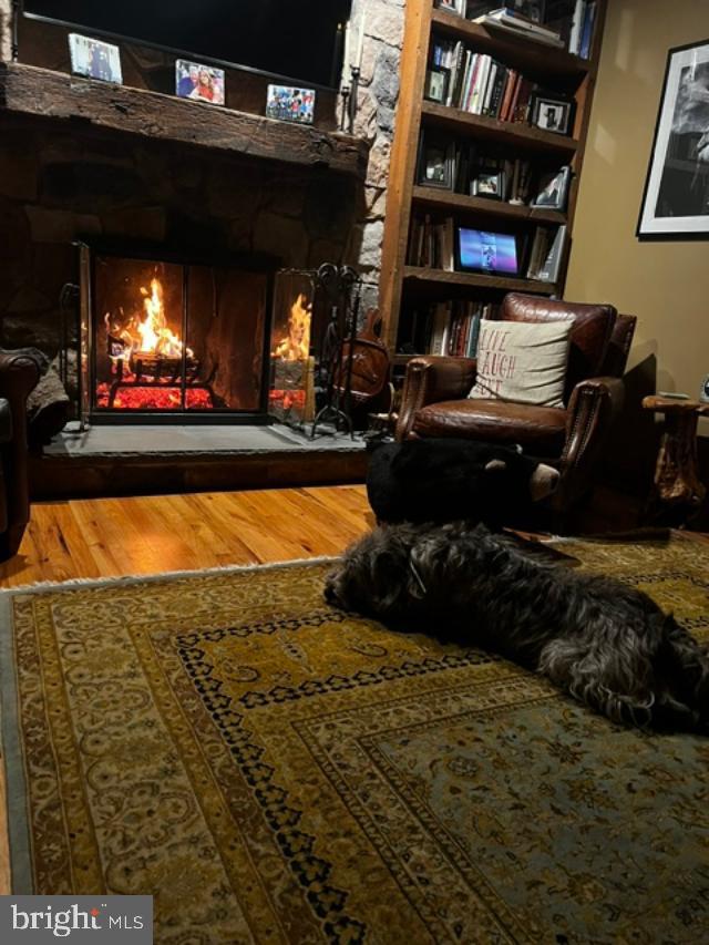 40 Cooper Tomlinson Road Medford, NJ 08055 - Photo 32 of 98 Fireplace and Dog