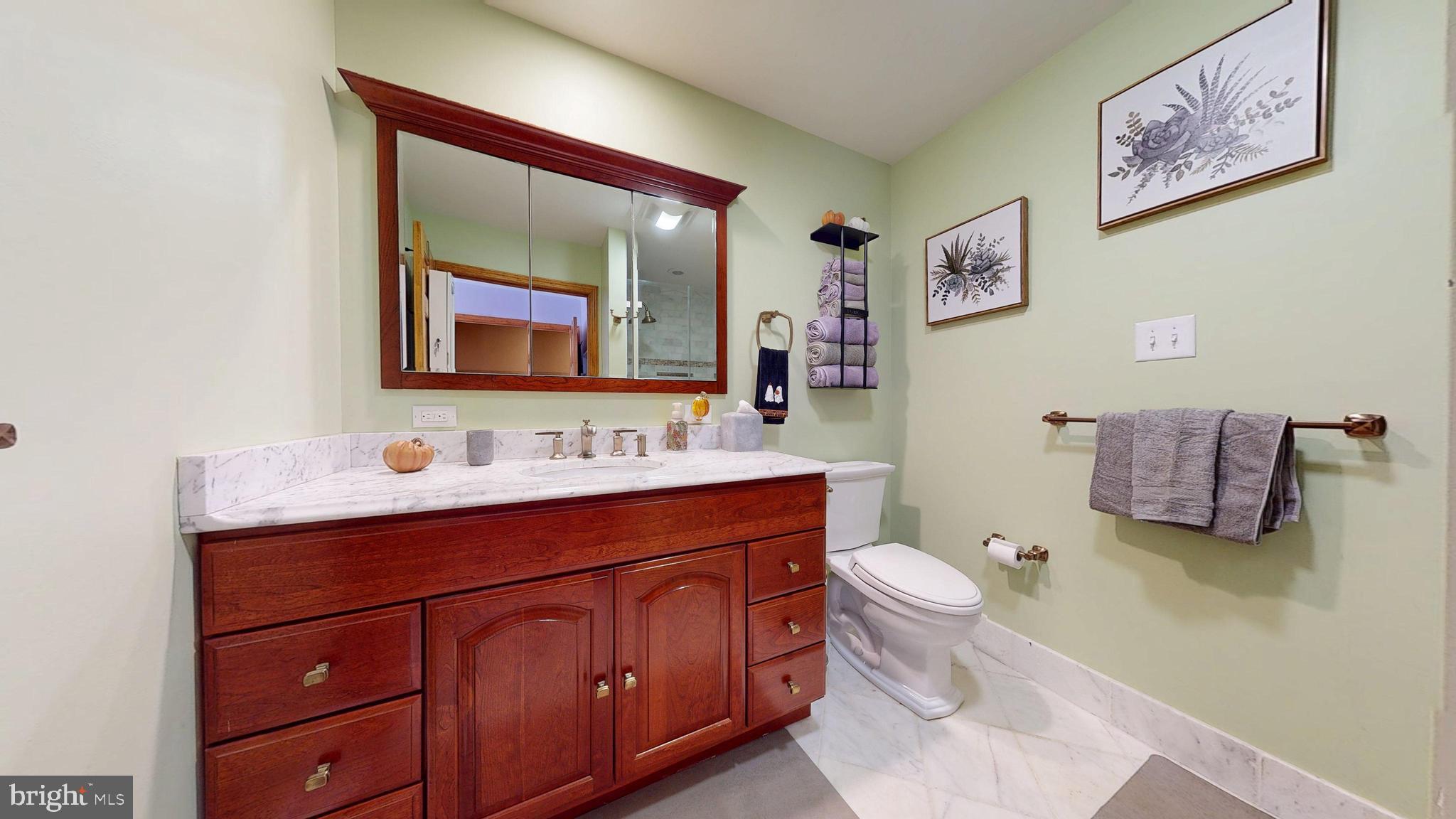 40 Cooper Tomlinson Road Medford, NJ 08055 - Photo 45 of 98 In-Law Suite Bathroom