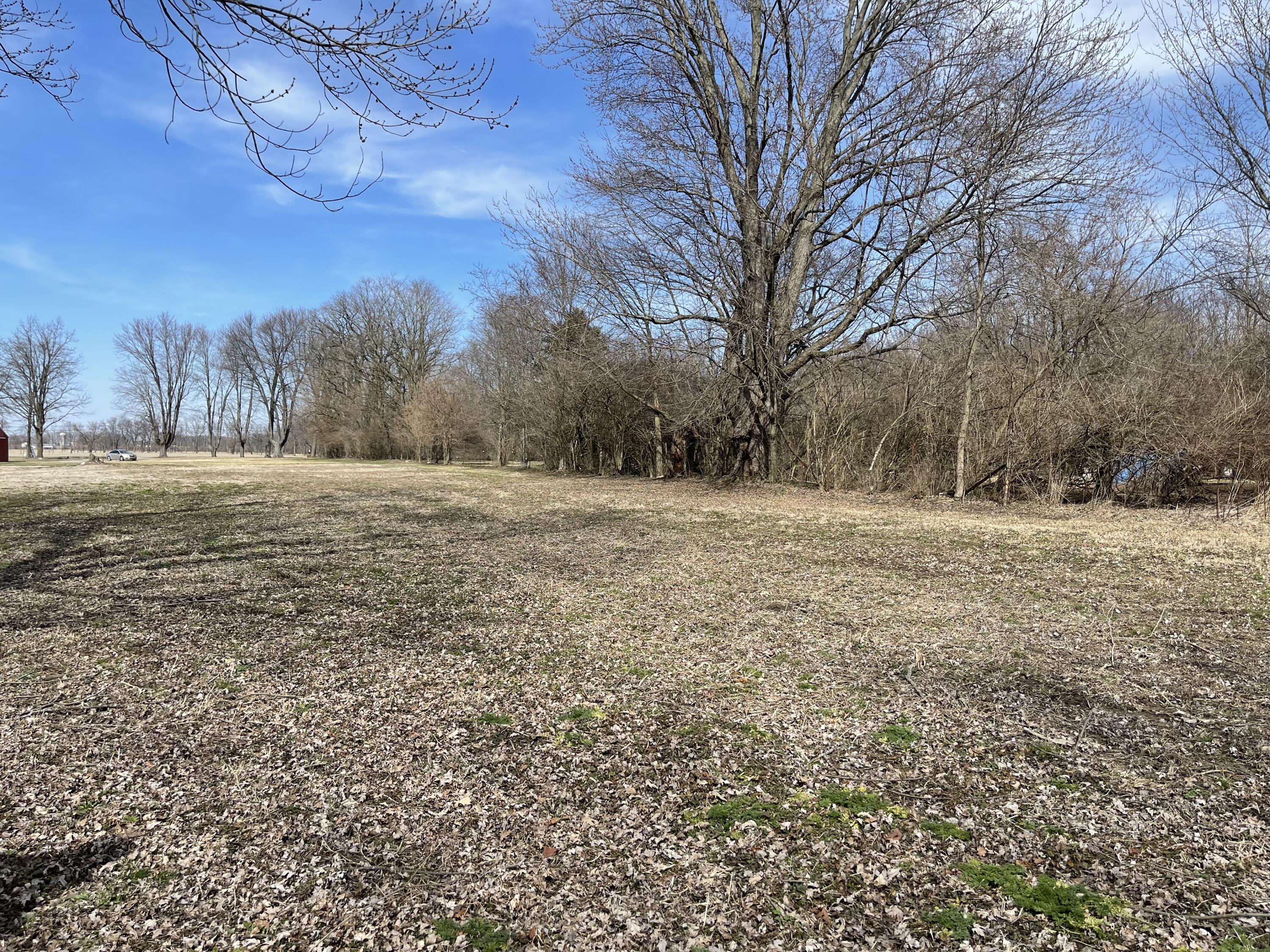 4769 Selma Pike Springfield, OH 45502 - Photo 86 of 93