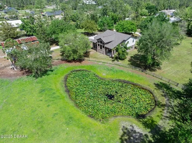 a view of a garden with a bench and trees