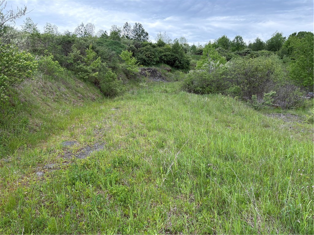 36 County Road Guilford, NY 13780 - Photo 24 of 38