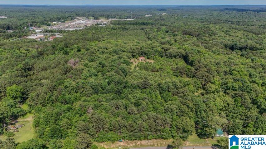 0 Jones Dairy Road Jasper, AL 35501 - Photo 8 of 14