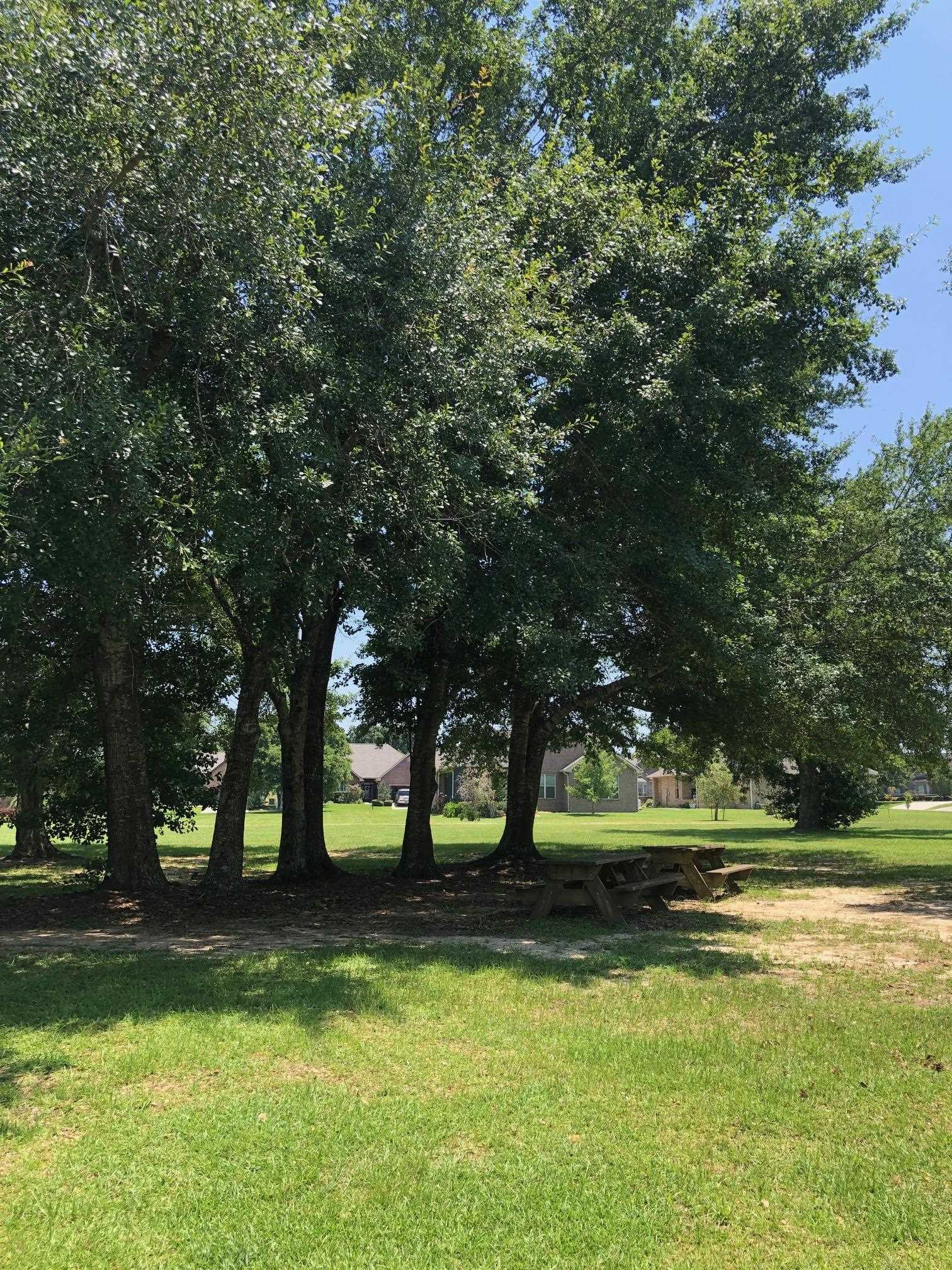 Dundee Circle Foley, AL 36535 - Photo 1 of 1