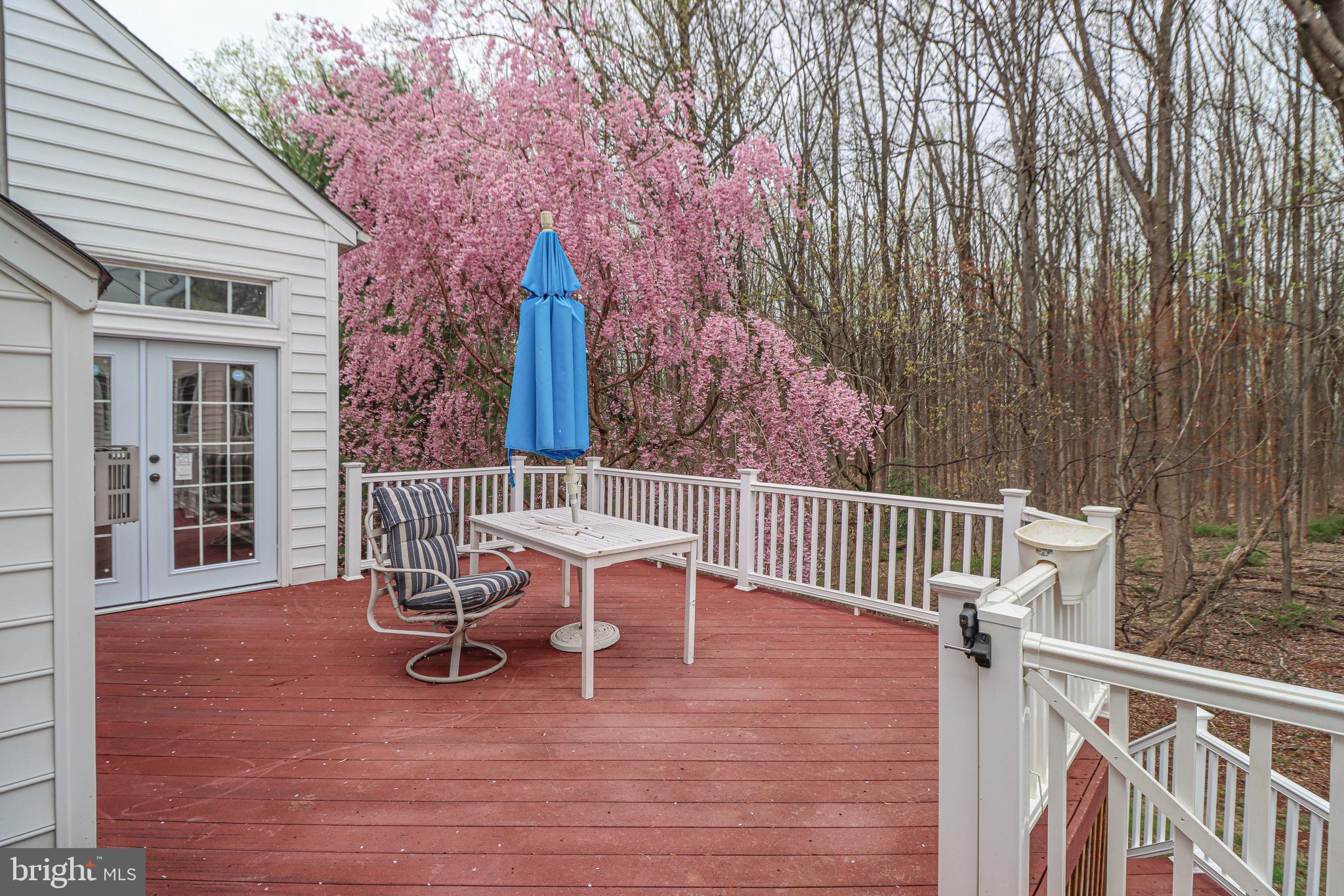 9820 Kraft Hill Road Perry Hall, MD 21128 - Photo 11 of 68 Gallery Image 11