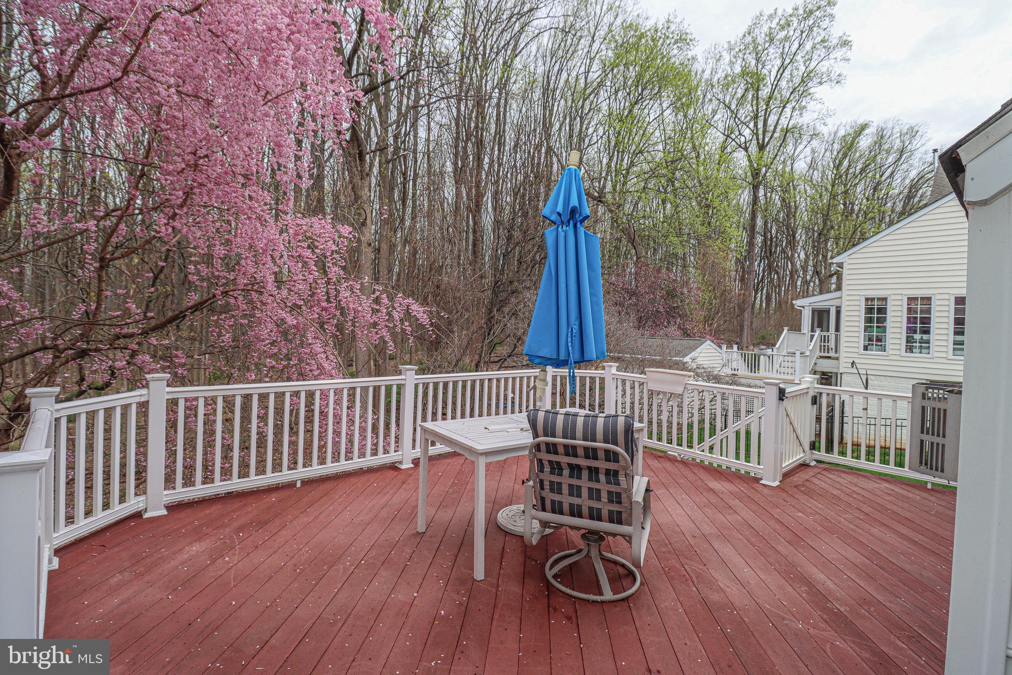9820 Kraft Hill Road Perry Hall, MD 21128 - Photo 13 of 68 Gallery Image 13