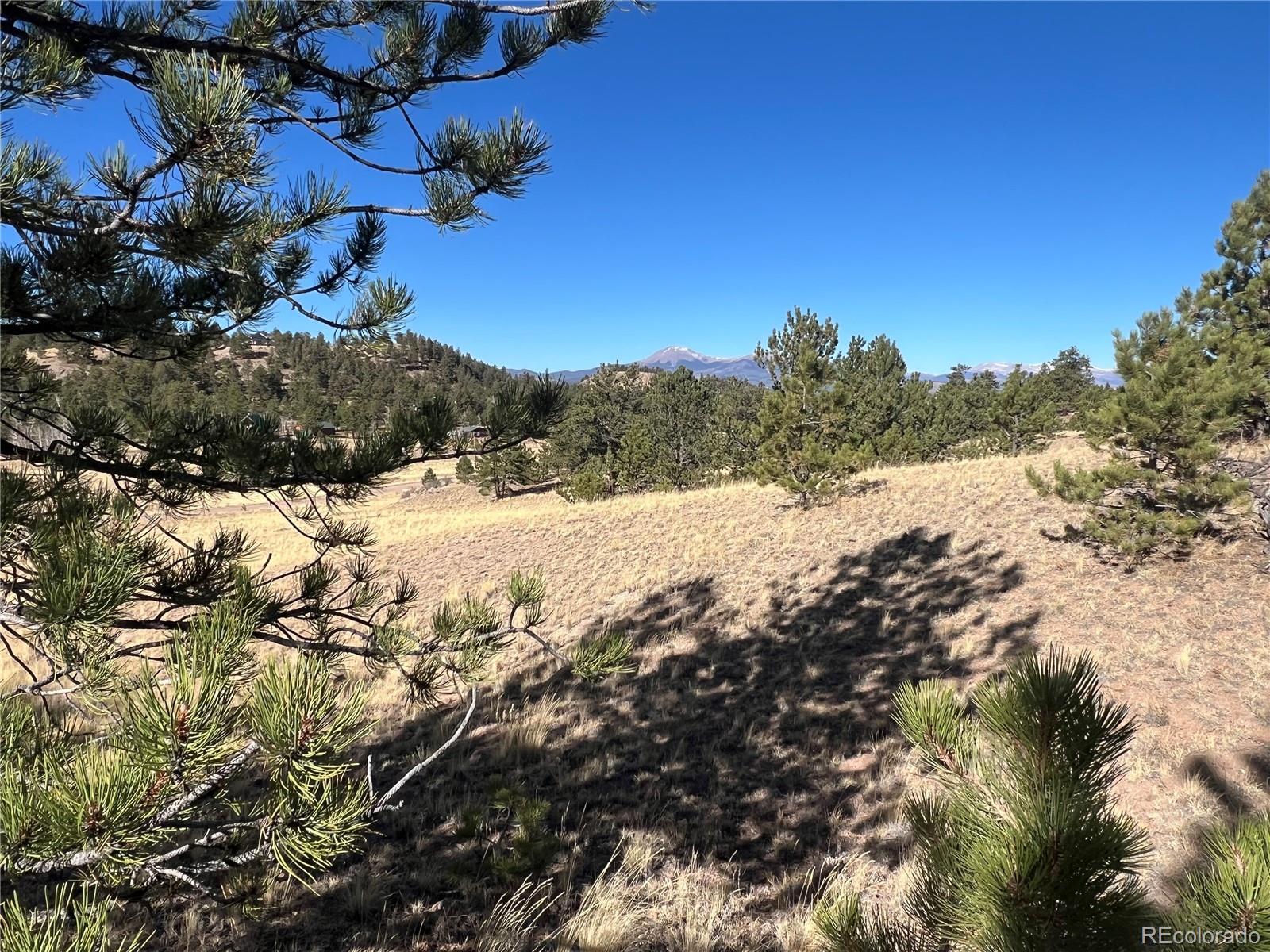 950 Pack Saddle Road Hartsel, CO 80449 - Photo 1 of 8 Gallery Image 1