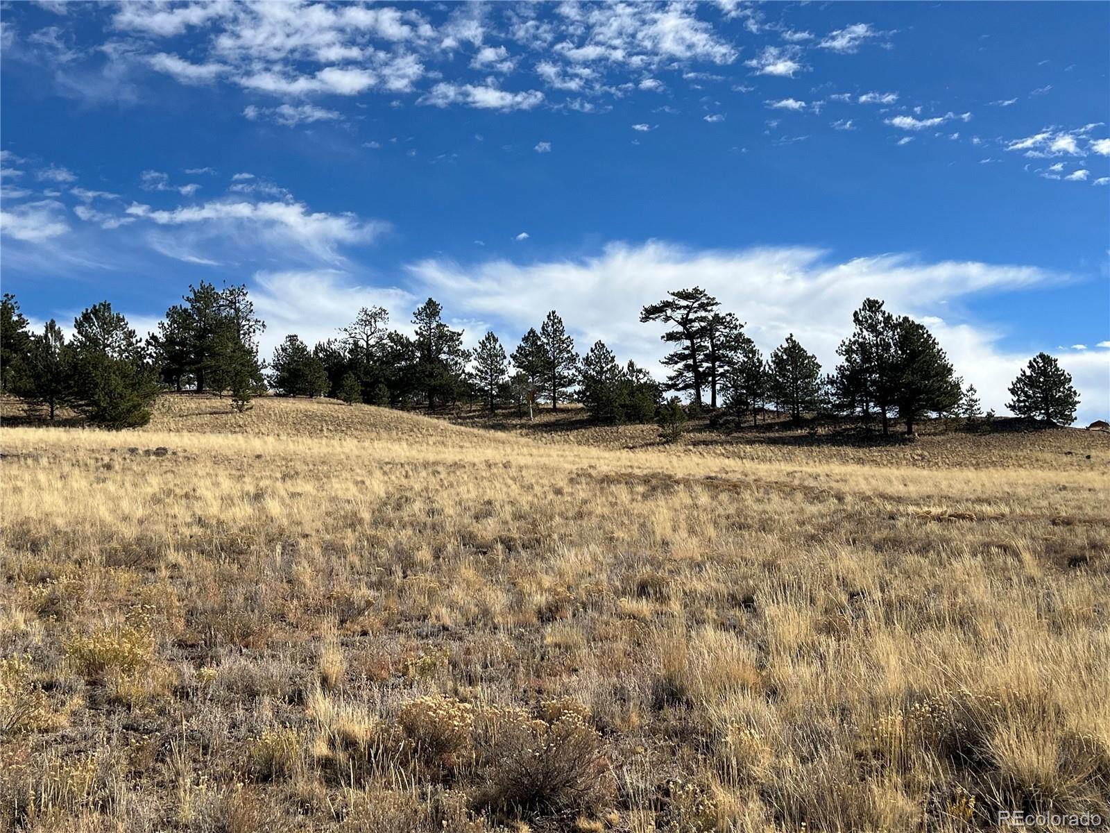 950 Pack Saddle Road Hartsel, CO 80449 - Photo 3 of 8 Gallery Image 3