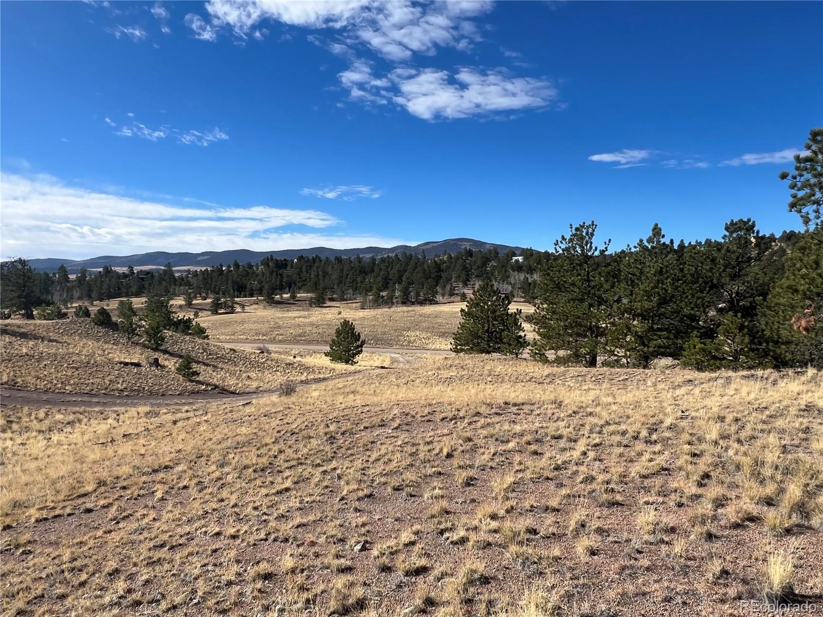 950 Pack Saddle Road Hartsel, CO 80449 - Photo 4 of 8 Gallery Image 4
