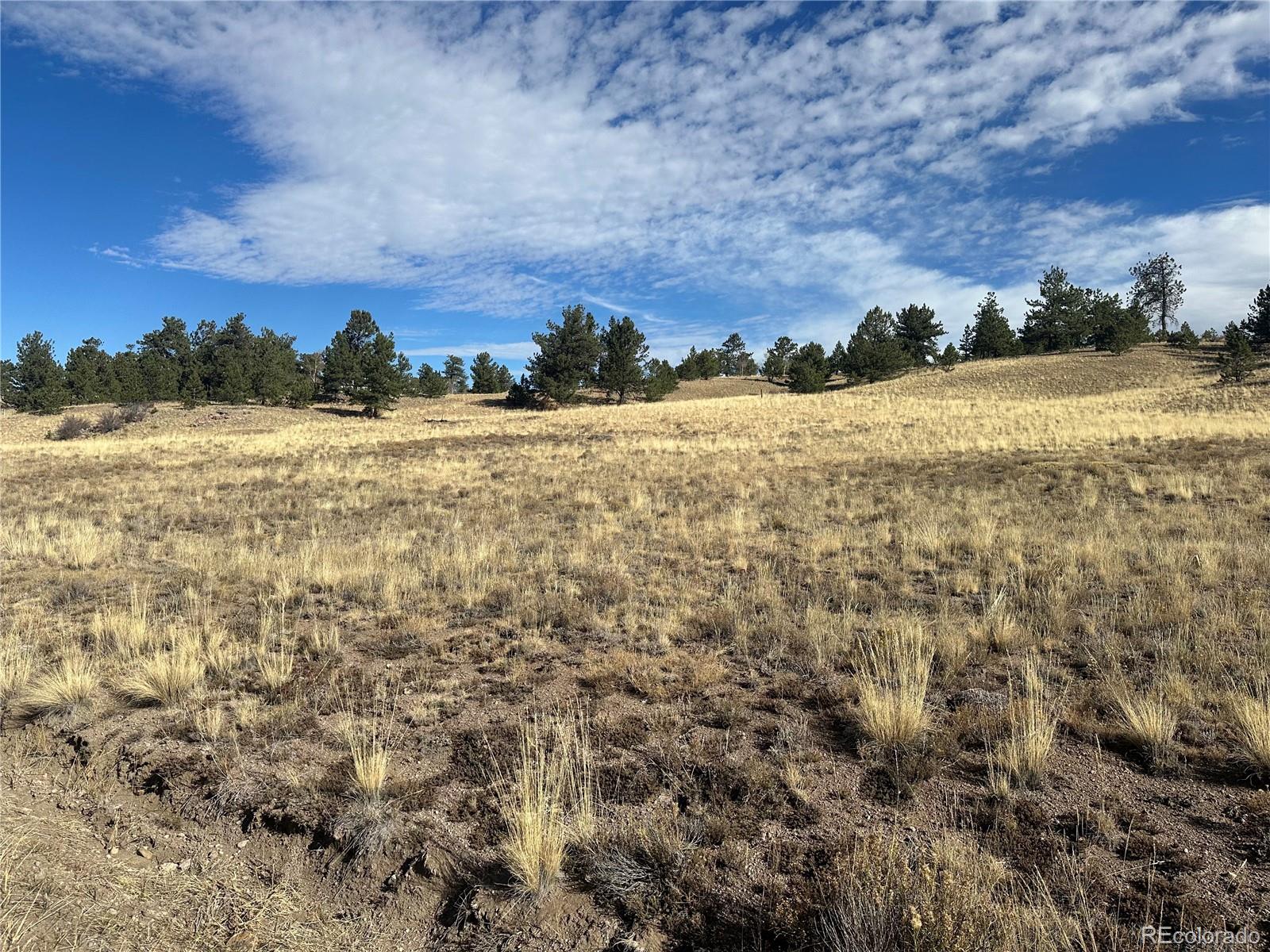 950 Pack Saddle Road Hartsel, CO 80449 - Photo 5 of 8 Gallery Image 5