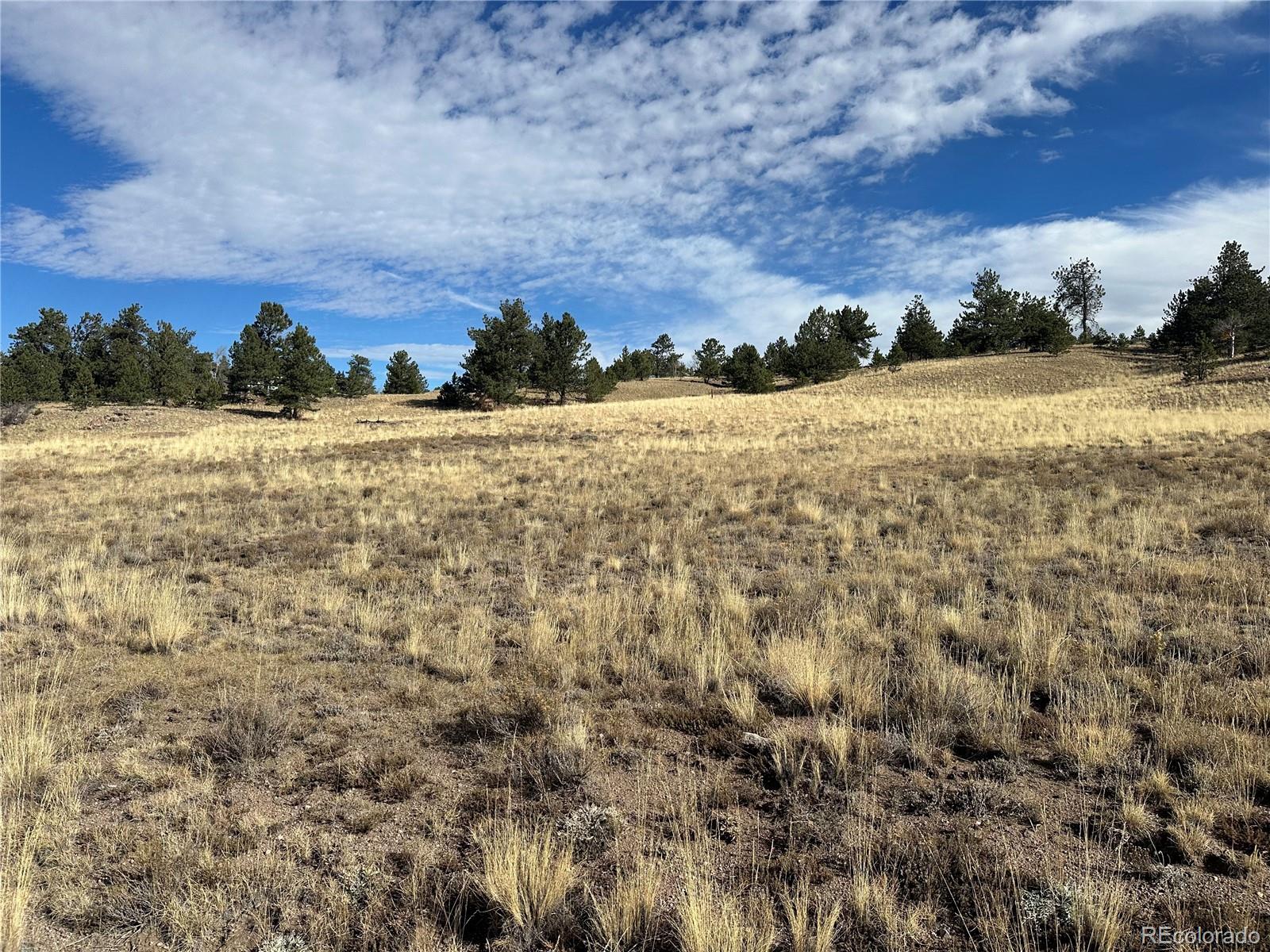 950 Pack Saddle Road Hartsel, CO 80449 - Photo 6 of 8 Gallery Image 6