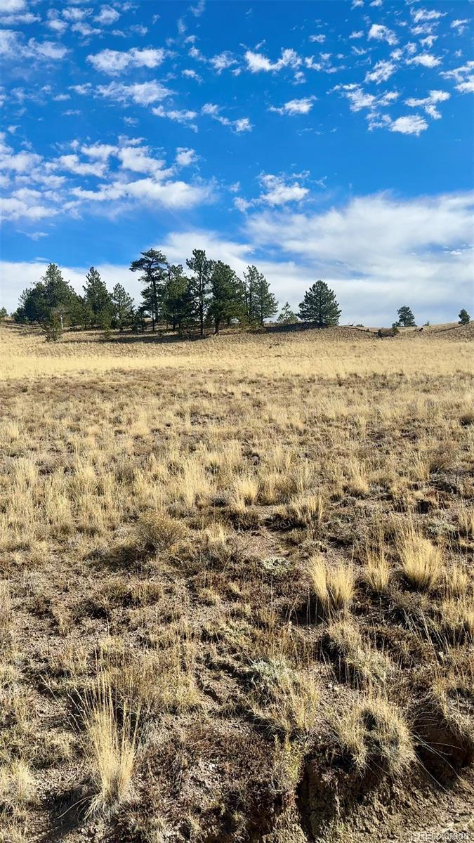 950 Pack Saddle Road Hartsel, CO 80449 - Photo 7 of 8 Gallery Image 7