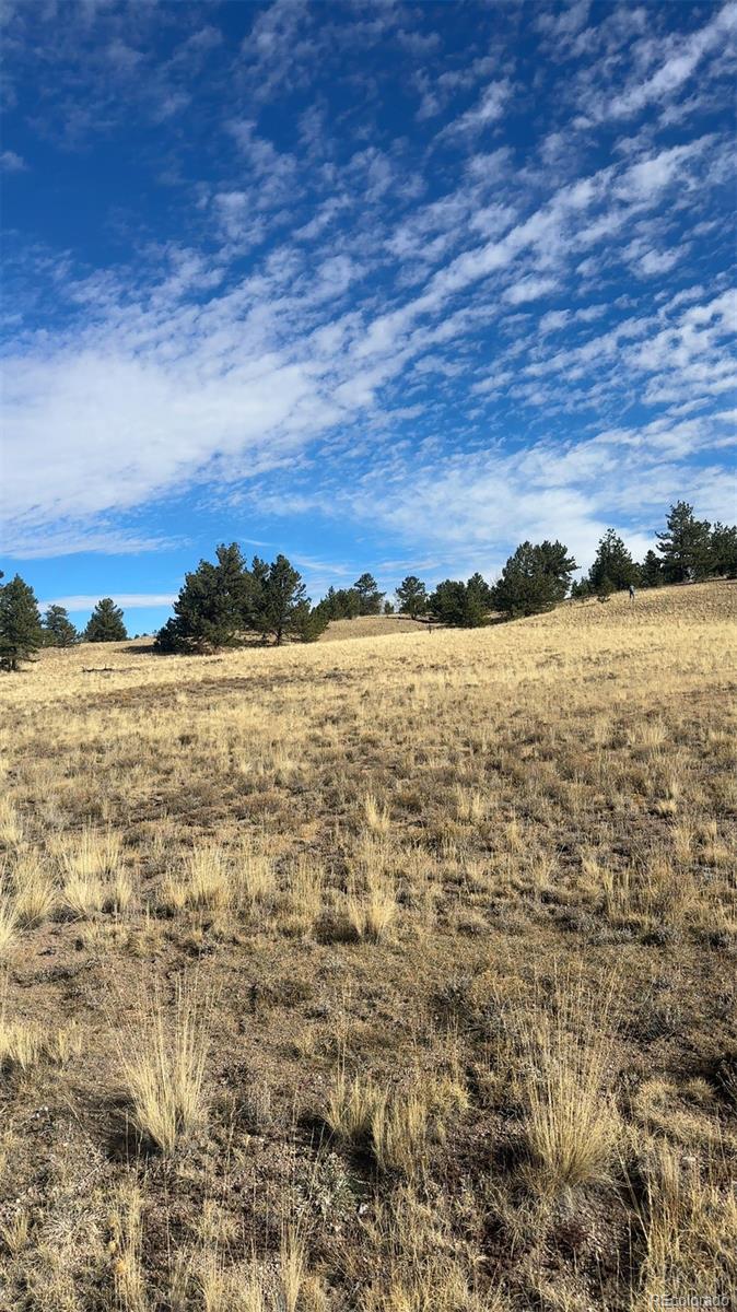 950 Pack Saddle Road Hartsel, CO 80449 - Photo 8 of 8 Gallery Image 8