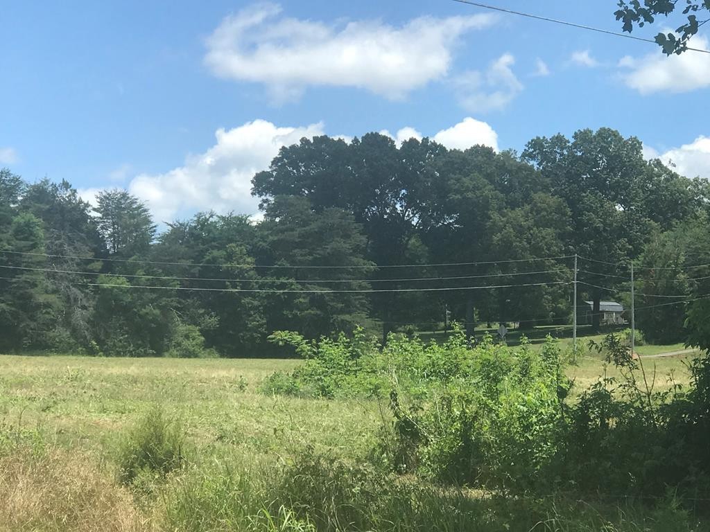 0 Welcome Valley Road Benton, TN 37307 - Photo 1 of 1 Gallery Image 1
