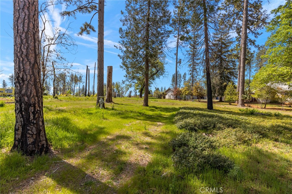 542 Bille Road Paradise, CA 95969 - Photo 1 of 14 a view of yard with trees