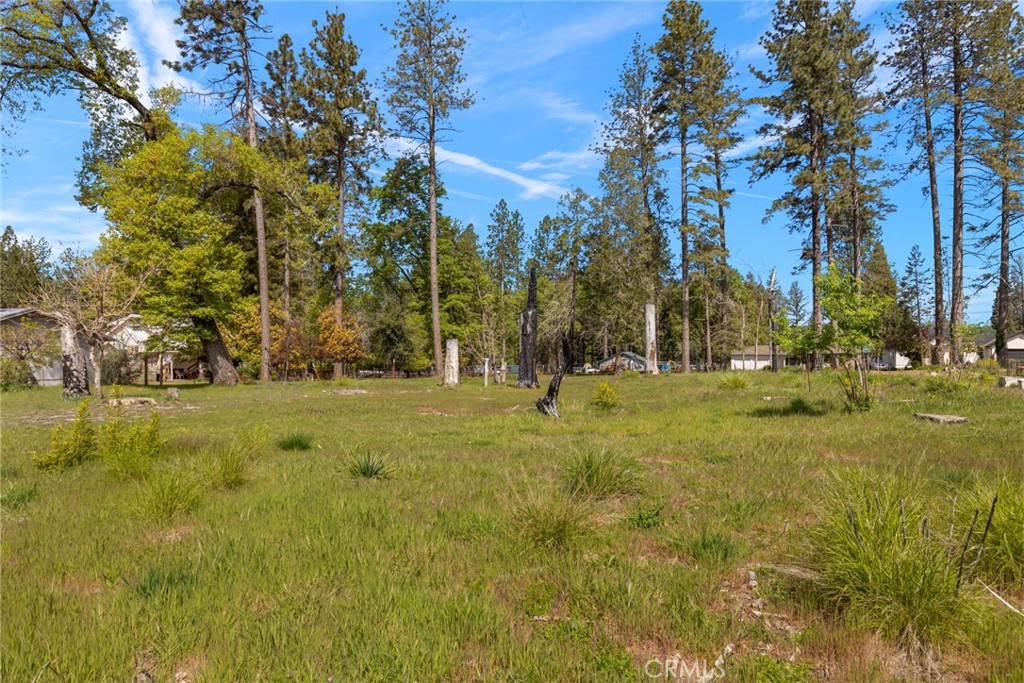 542 Bille Road Paradise, CA 95969 - Photo 2 of 14 a view of yard with trees
