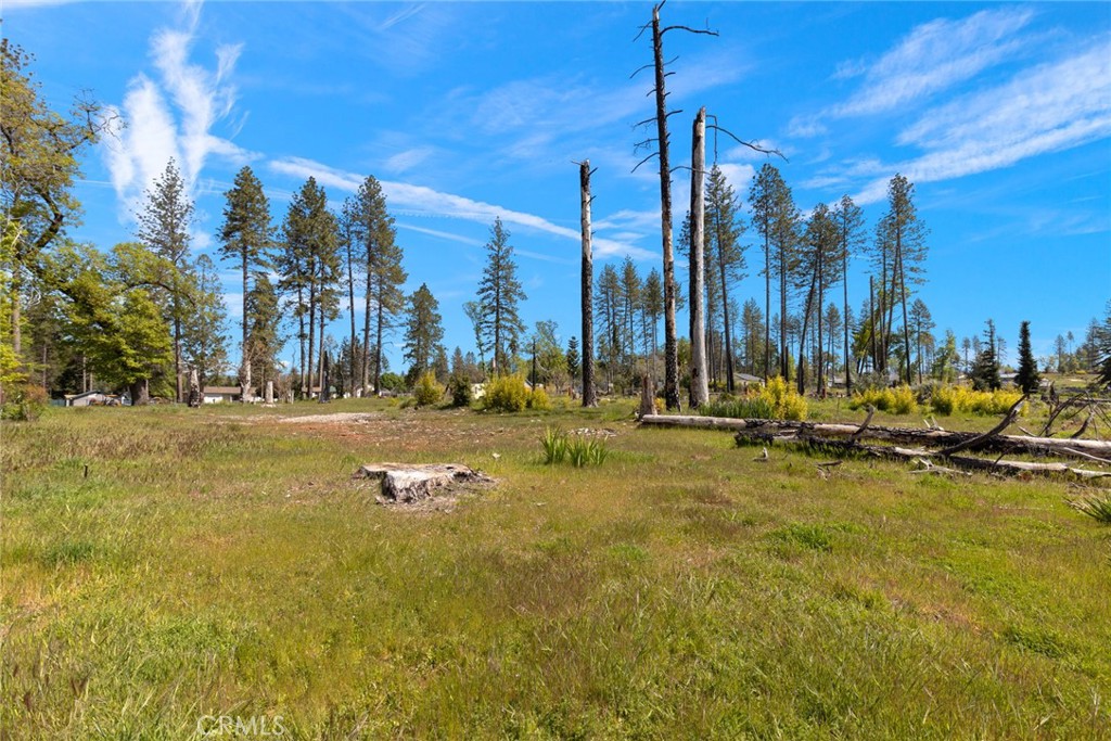 542 Bille Road Paradise, CA 95969 - Photo 4 of 14 a view of a yard with swimming pool