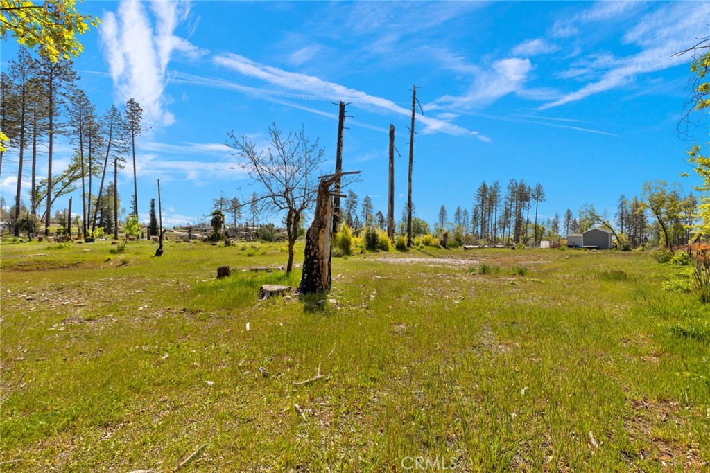542 Bille Road Paradise, CA 95969 - Photo 5 of 14 a view of a yard with swimming pool