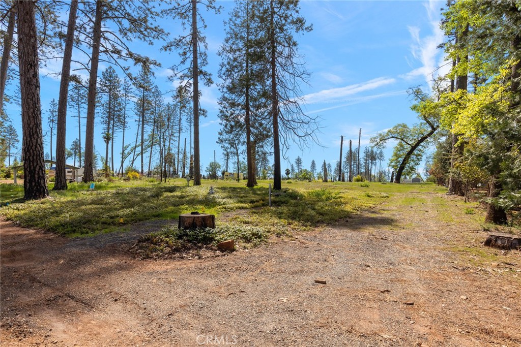 542 Bille Road Paradise, CA 95969 - Photo 7 of 14 a view of swimming pool with a yard