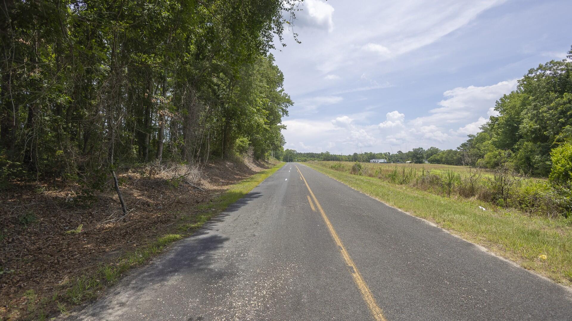 2 Joseph Lemon And Dingle Road Manning, SC 29102 - Photo 3 of 44