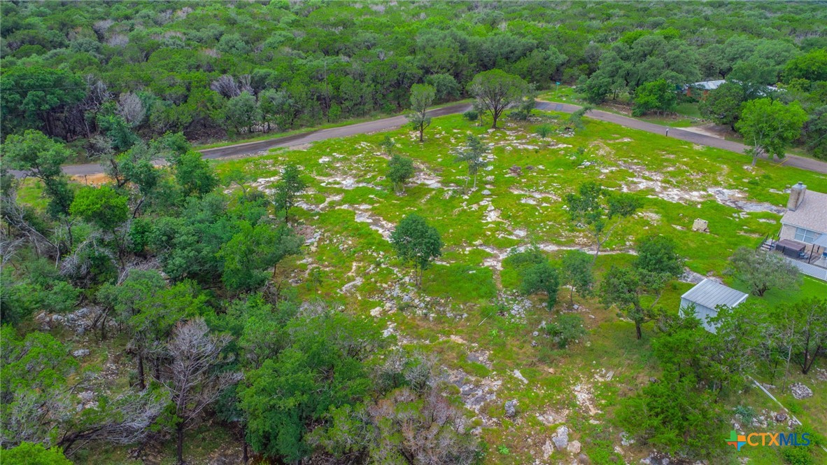 2249 Prickley Pear Road Belton, TX 76513 - Photo 15 of 16