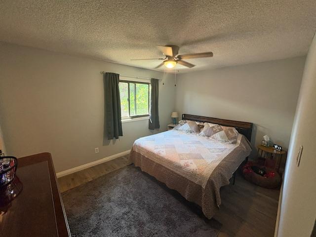 206 Miner Court Isleton, CA 95641 - Photo 15 of 23