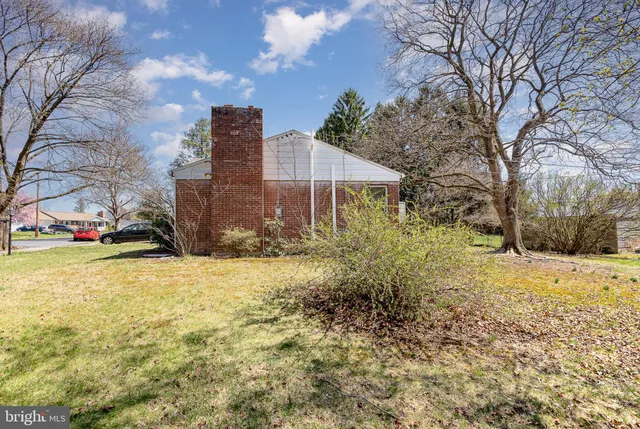 a view of a yard with large trees