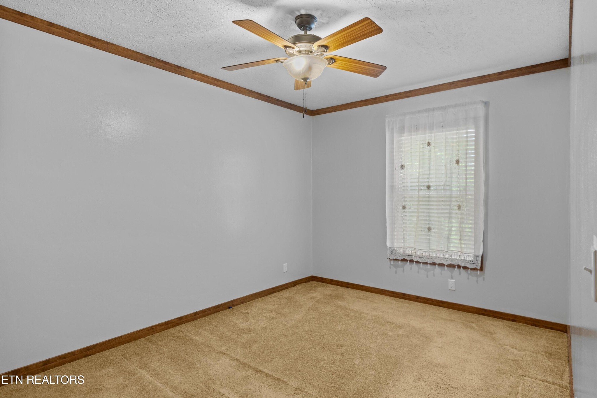 860 Harrison Ferry Road Baneberry, TN 37890 - Photo 50 of 60 Gallery Image 50
