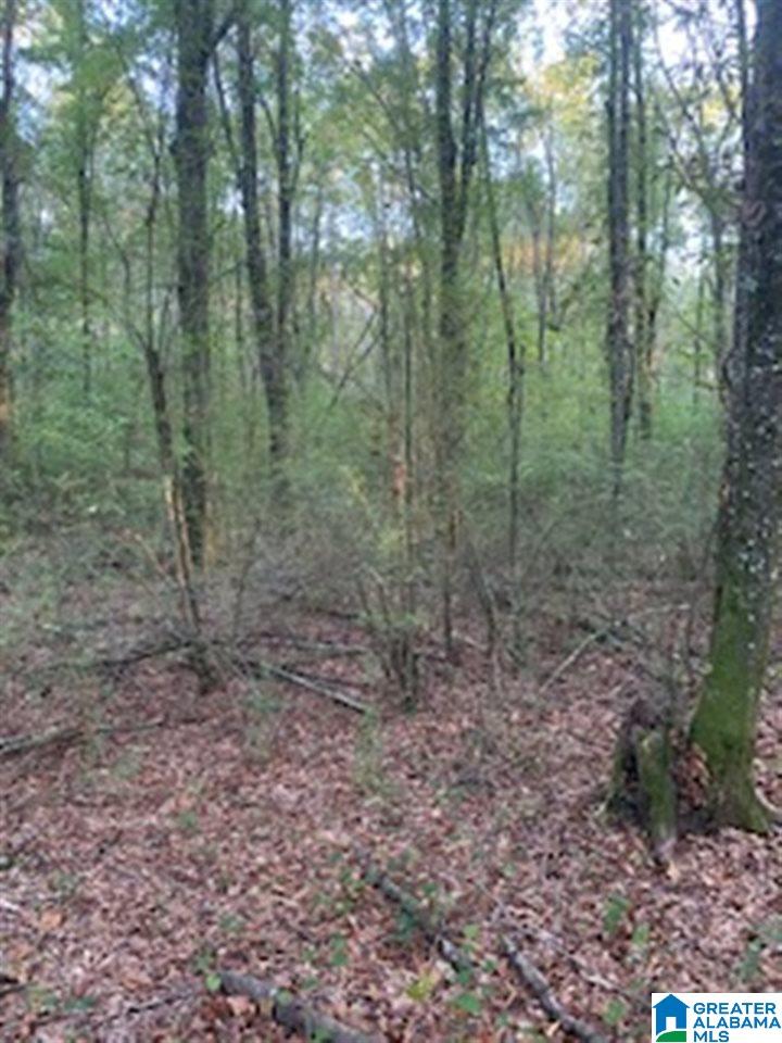 0 Blue Eye Springs Road, Unit 1 Lincoln, AL 35096 - Photo 24 of 24