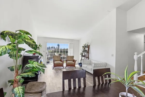 a living room with furniture potted plant and a potted plant