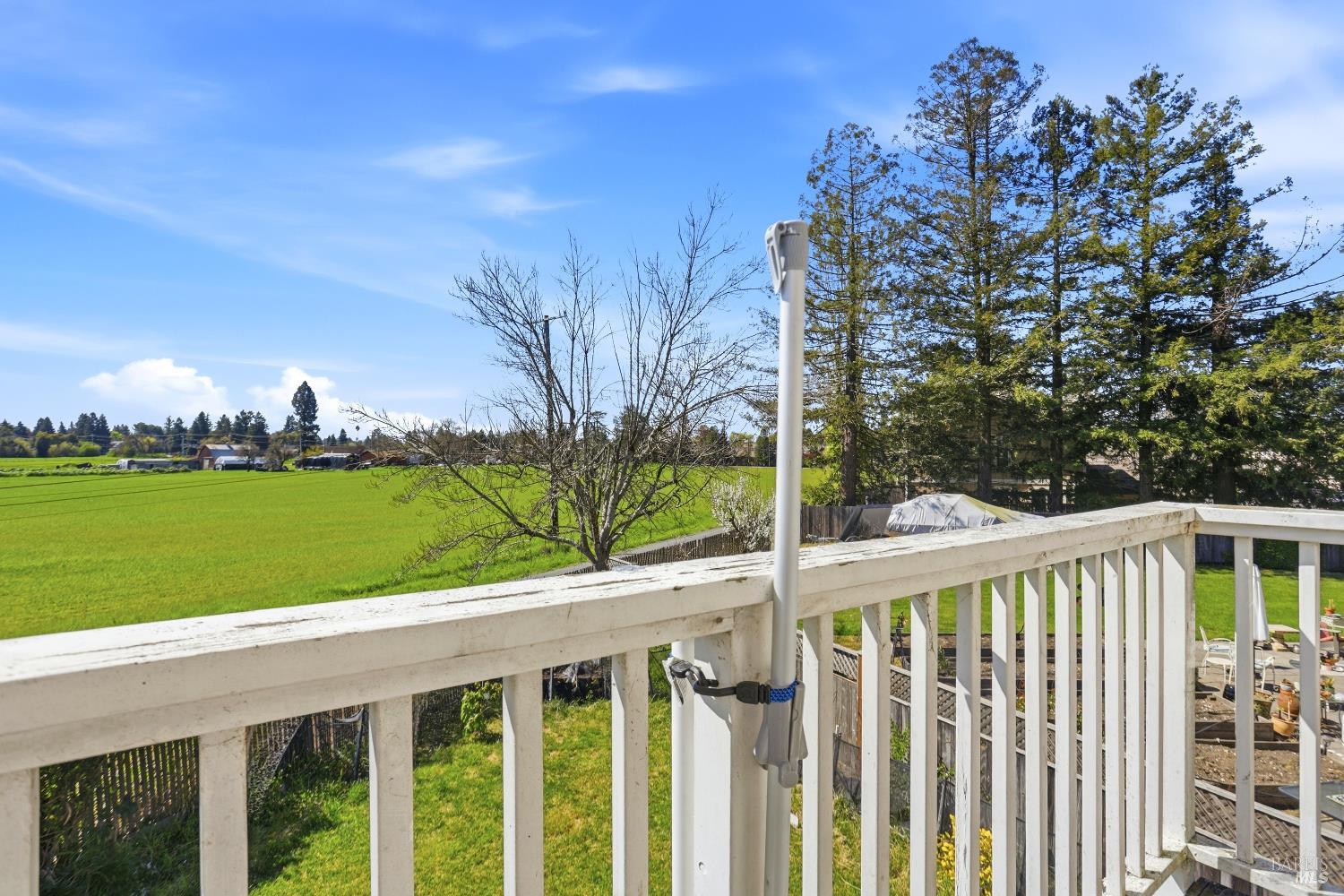 1407 Georgia Court Rohnert Park, CA 94928 - Photo 33 of 36 a view of a house with a small yard and a large tree