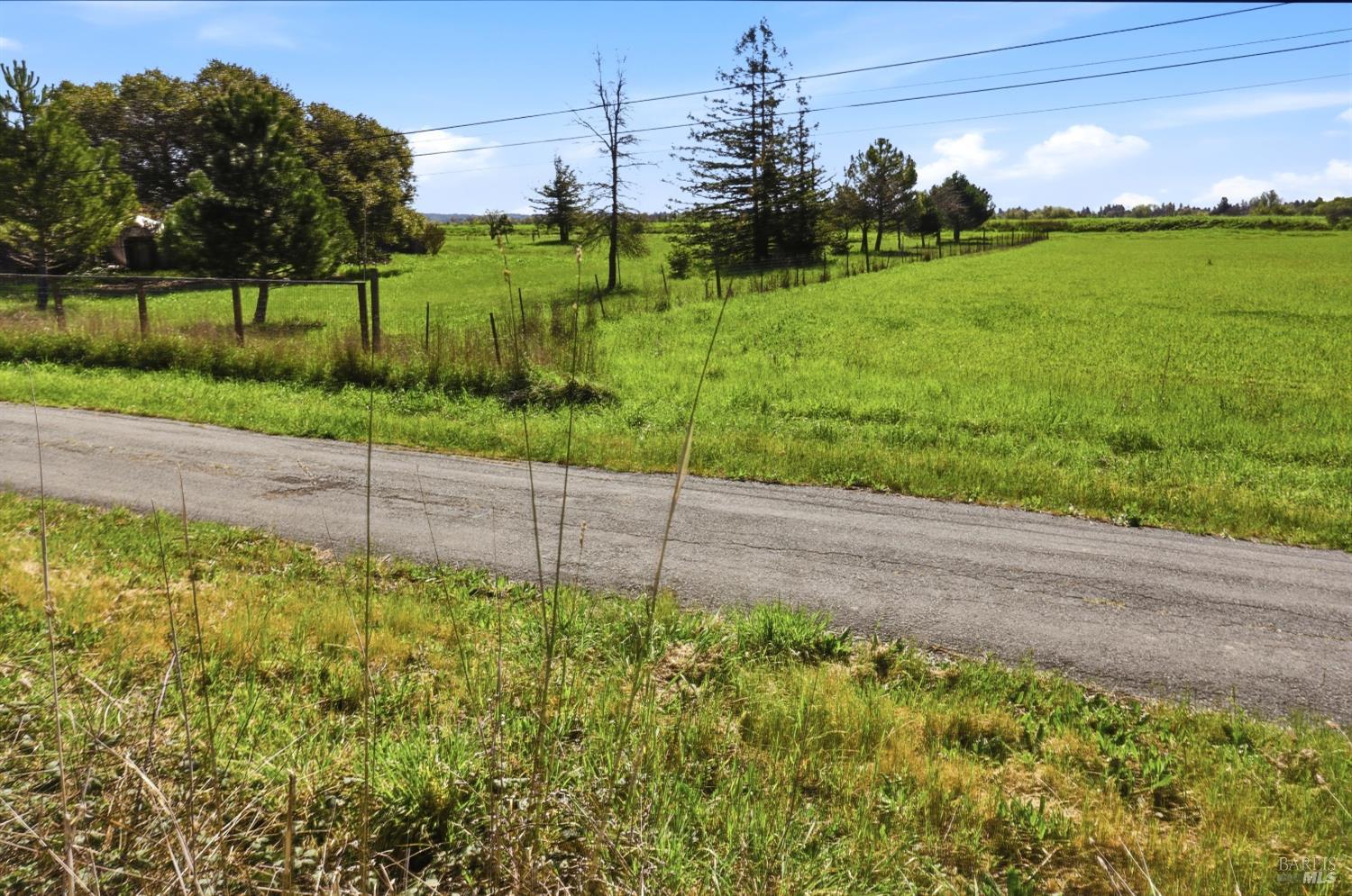 1407 Georgia Court Rohnert Park, CA 94928 - Photo 34 of 36 a view of a backyard