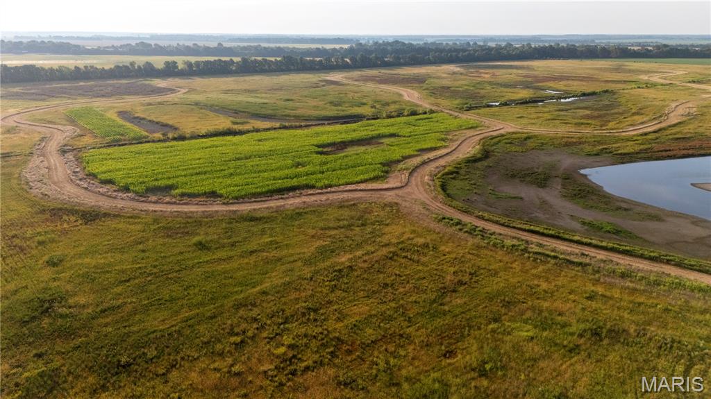 0 Highway P New Madrid Mo 63869 East Prairie, MO 63845 - Photo 14 of 17