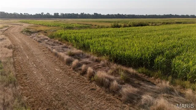 $2,268,200 | 0 Highway P New Madrid Mo 63869, East Prairie, MO 63845