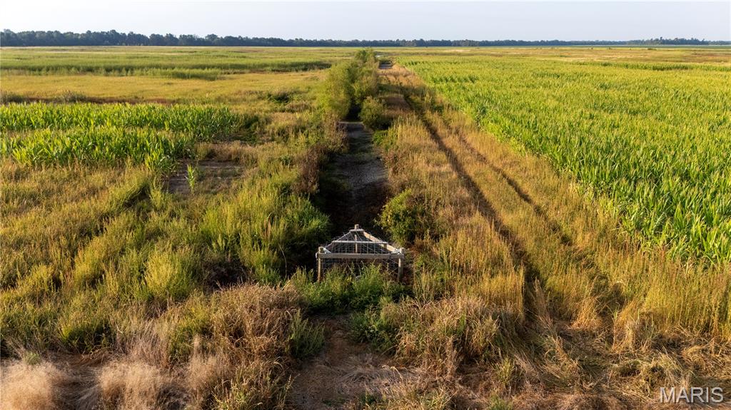 0 Highway P New Madrid Mo 63869 East Prairie, MO 63845 - Photo 17 of 17