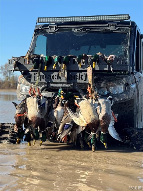 0 Highway P New Madrid Mo 63869 East Prairie, MO 63845 - Photo 2 of 17