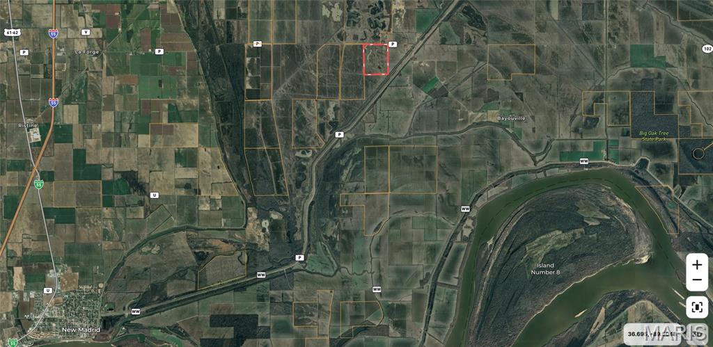 0 Highway P New Madrid Mo 63869 East Prairie, MO 63845 - Photo 3 of 17