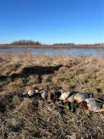 $2,268,200 | 0 Highway P New Madrid Mo 63869, East Prairie, MO 63845