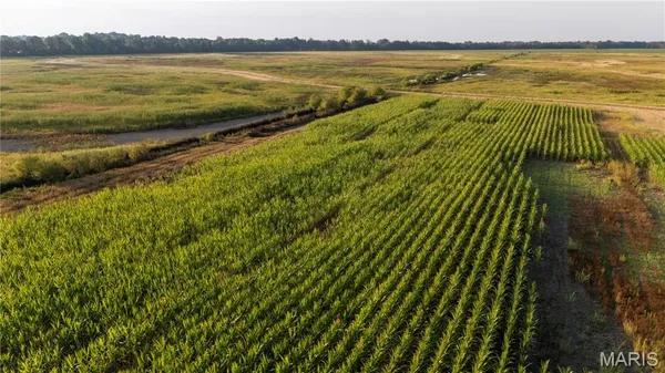 $2,268,200 | 0 Highway P New Madrid Mo 63869, East Prairie, MO 63845